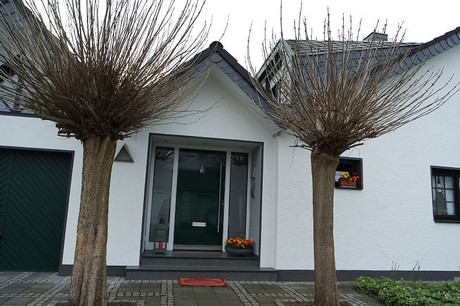 vogelsang