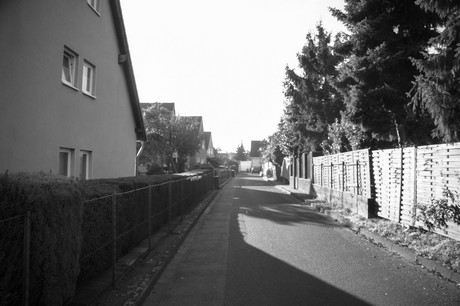 vogelsang