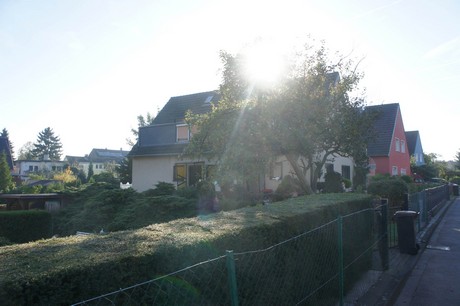 vogelsang
