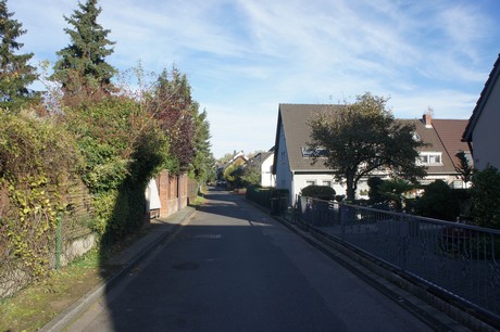 vogelsang