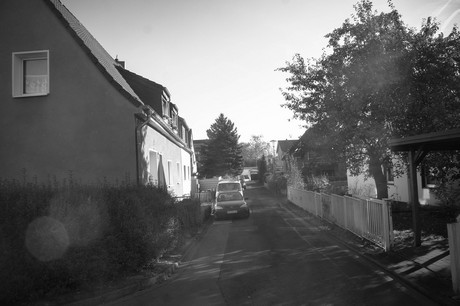 vogelsang