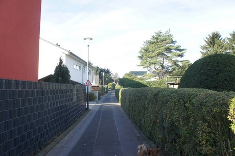 vogelsang