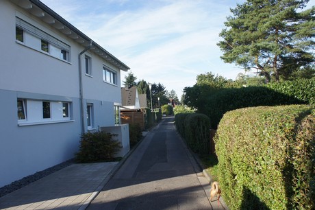 vogelsang