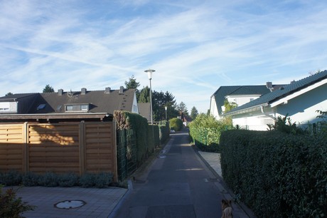 vogelsang