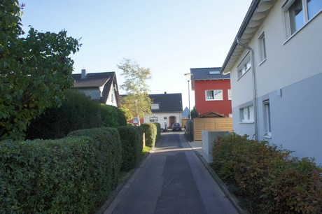 vogelsang