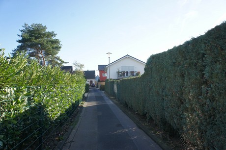 vogelsang