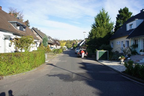 vogelsang