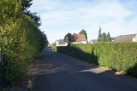 vogelsang