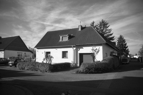 vogelsang