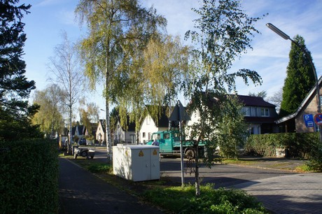 vogelsang