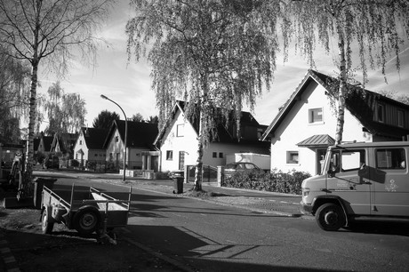 vogelsang