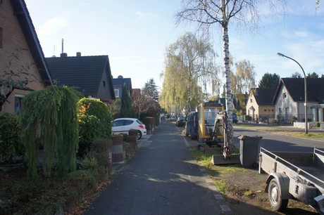 vogelsang