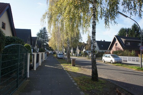 vogelsang