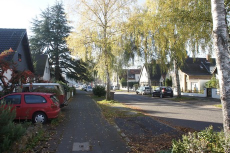 vogelsang