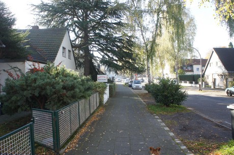 vogelsang