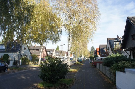 vogelsang