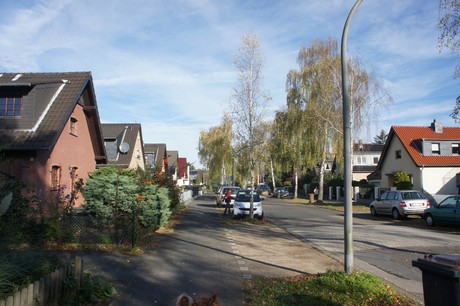 vogelsang