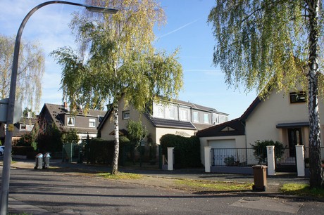 vogelsang
