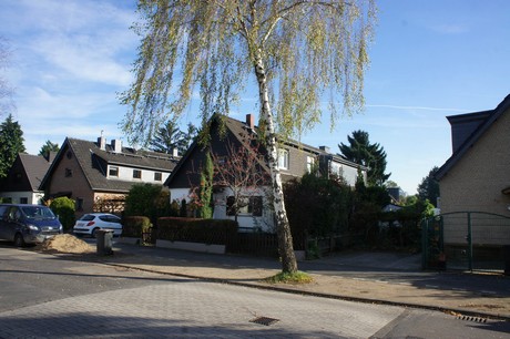 vogelsang