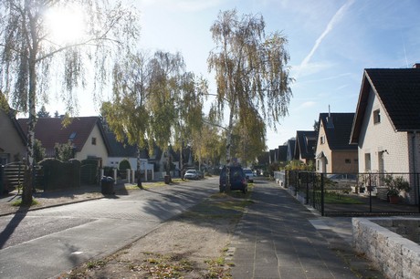 vogelsang