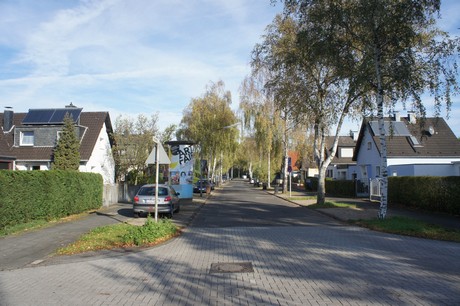 vogelsang