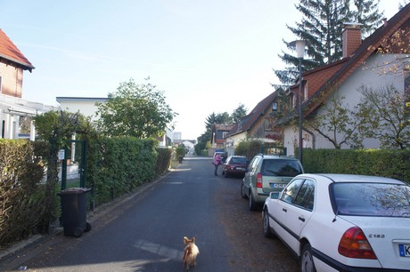vogelsang