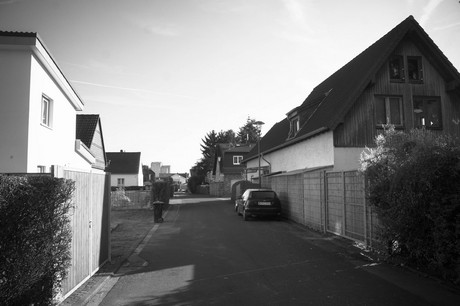 vogelsang