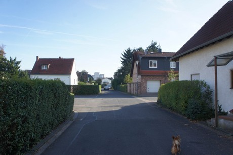 vogelsang