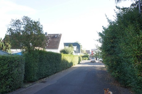 vogelsang