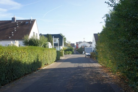 vogelsang