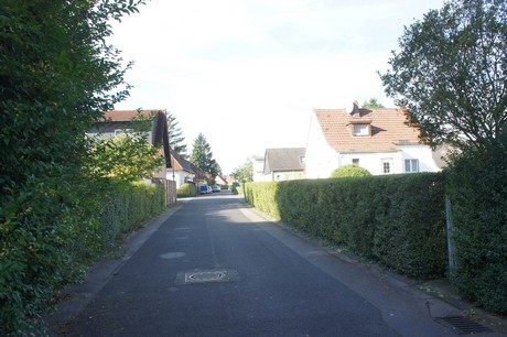 vogelsang