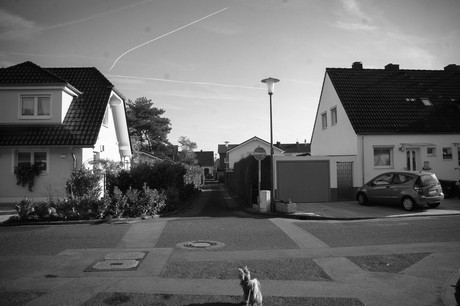 vogelsang