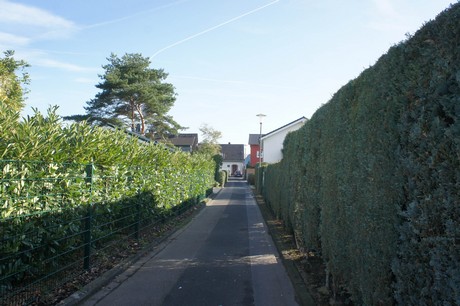 vogelsang