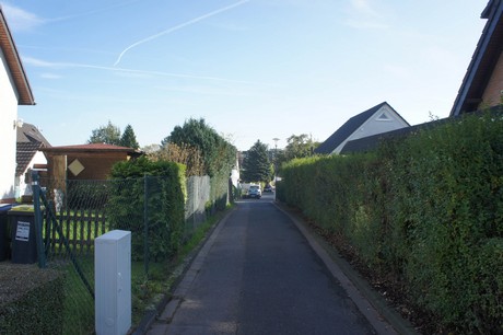 vogelsang