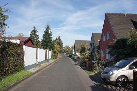 vogelsang