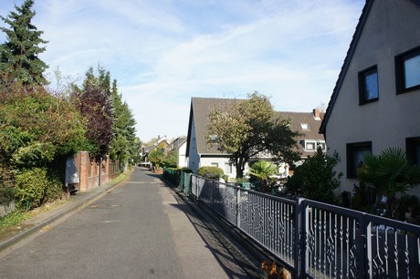 vogelsang