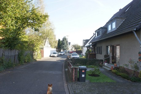 vogelsang