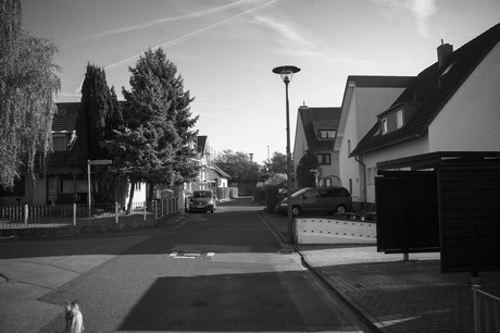 vogelsang