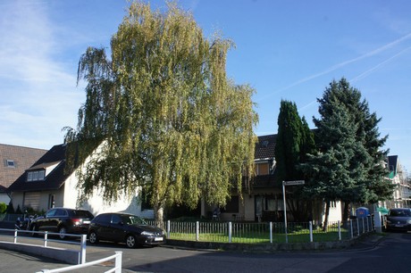 vogelsang