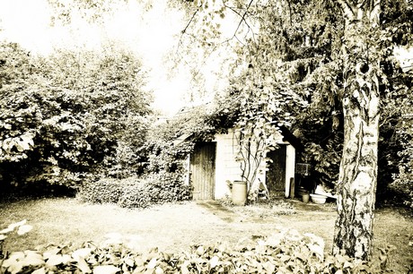 vogelsang