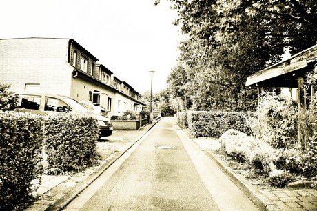 vogelsang