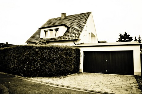 vogelsang