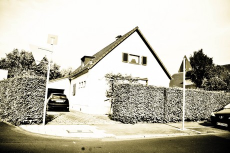 vogelsang