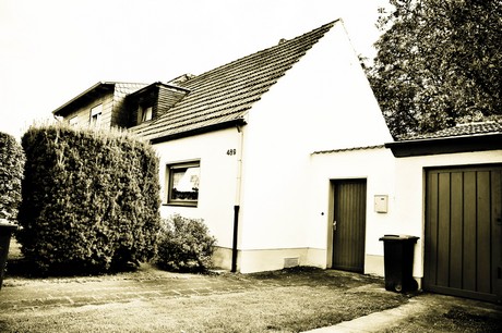 vogelsang
