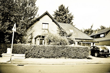vogelsang