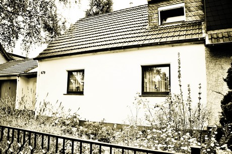 vogelsang