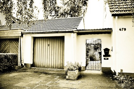 vogelsang