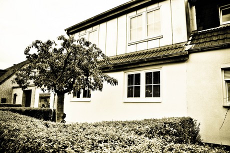 vogelsang