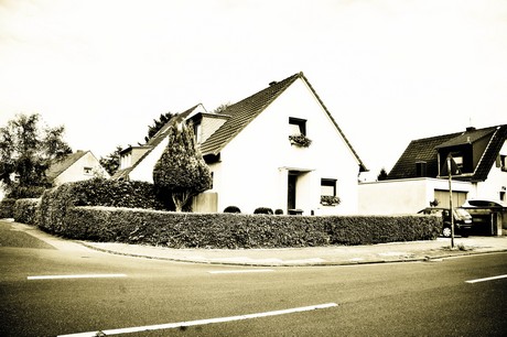 vogelsang