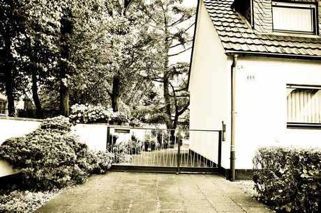 vogelsang